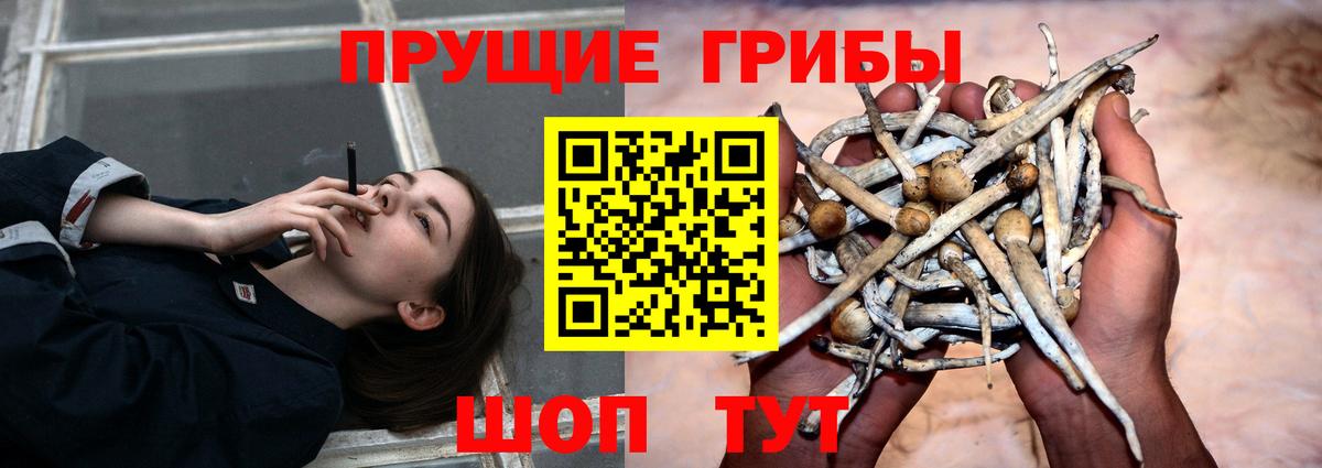 Симферополь  Галлюциногенные грибы MAGIC MUSHROOMS  Псилоцибиновые грибы Psilocybe  Вход с VPN 